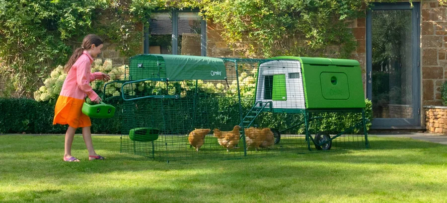 Omlet Eglu Cube, visuel du fabricant